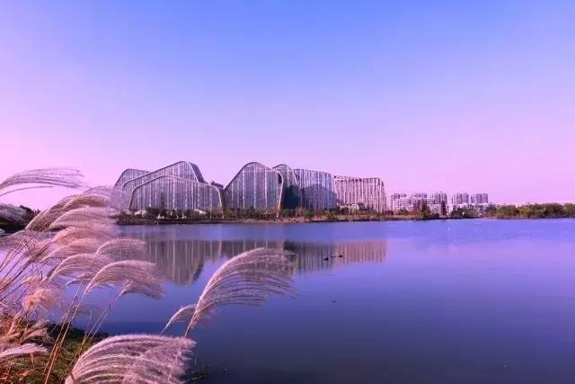 滨江到底是哪里,滨江是一条江吗