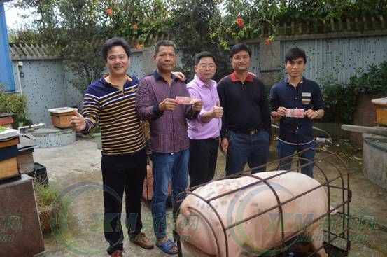 只用了225天，它就成了“猪王”！