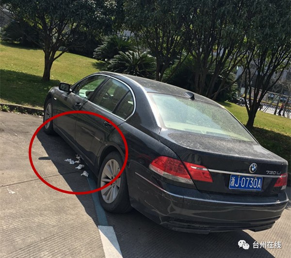 只是随手拍张照！他们每人都得到百元红包，你也可以！