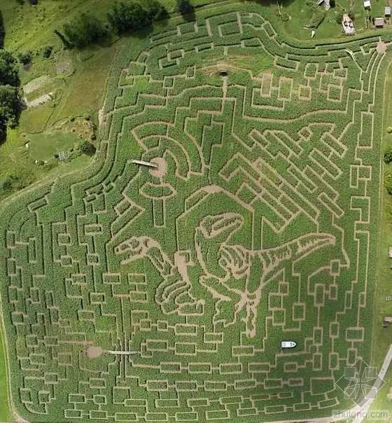 宁波好玩的迷宫,动心吗