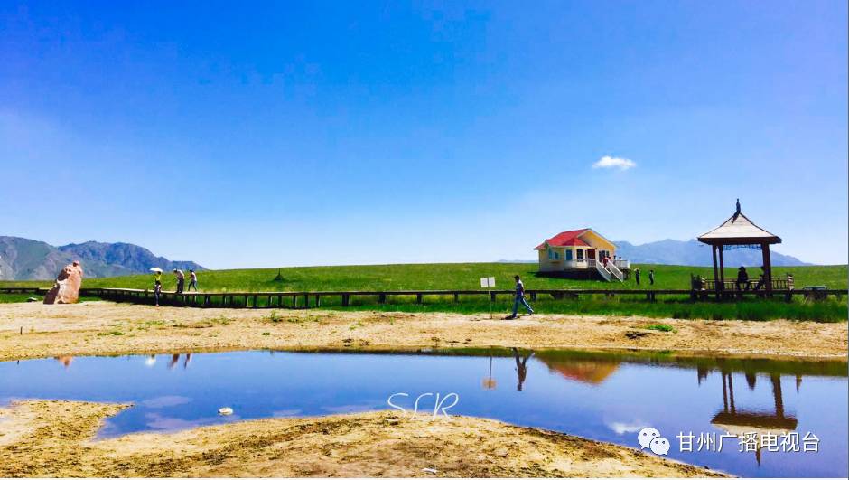 「美文」新“甘州八景”之六康乐牧歌