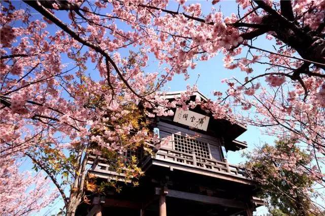 乐视体育明早07:15全程直播无锡马拉松赛｜春风十里不如在江南遇锡马