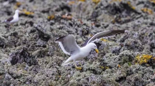 探路者斜挎包小包,探路者登山背包小包