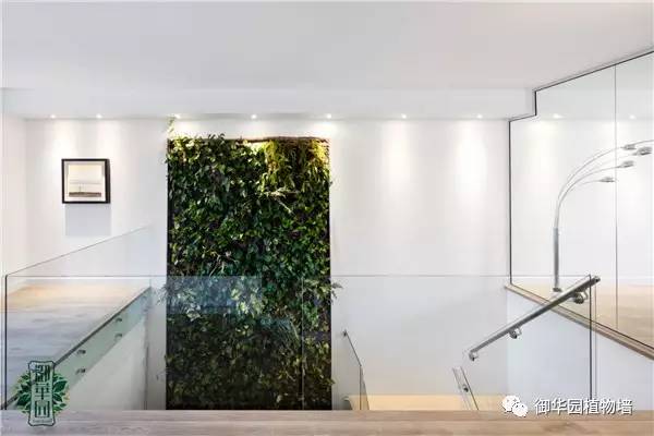 禅意风植物墙,特色植物墙