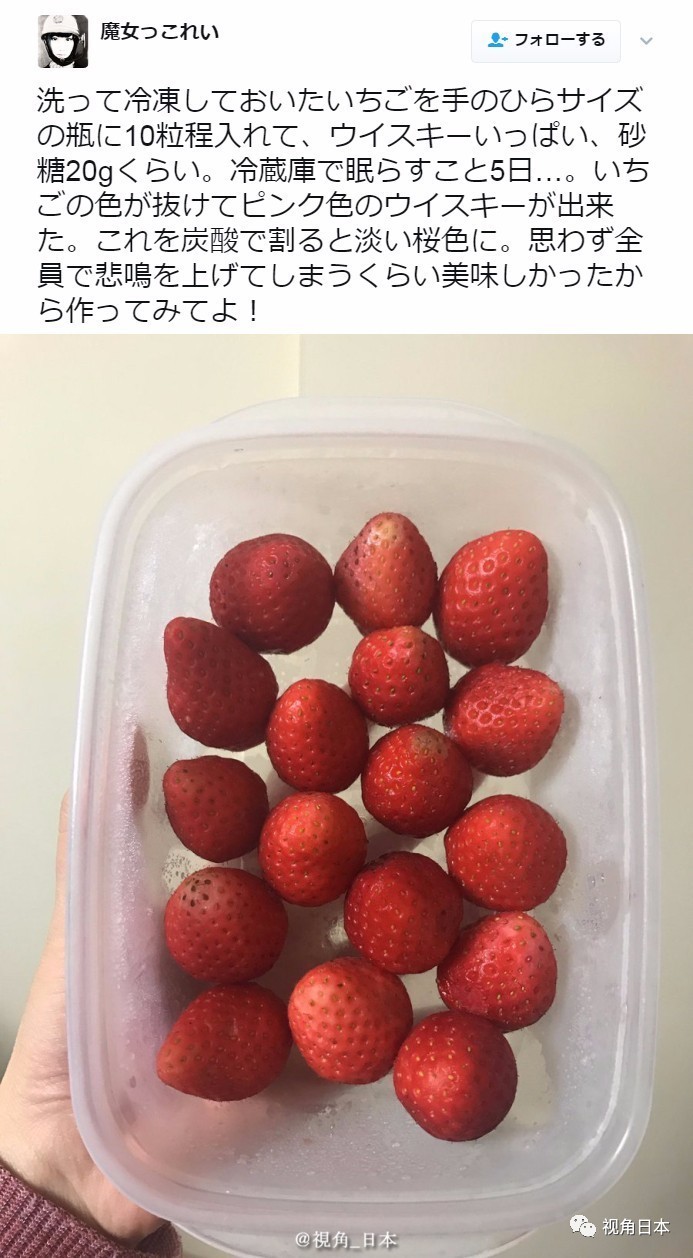 日本乐高乐园有幻影忍者吗,日本京都乐高乐园