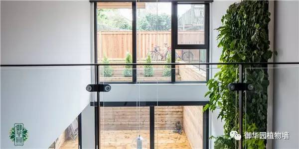 植物墙居家,特色植物墙