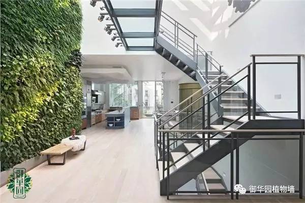 禅意风植物墙,特色植物墙