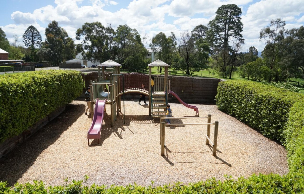 图说:在澳洲的日常(2)|陈秋平