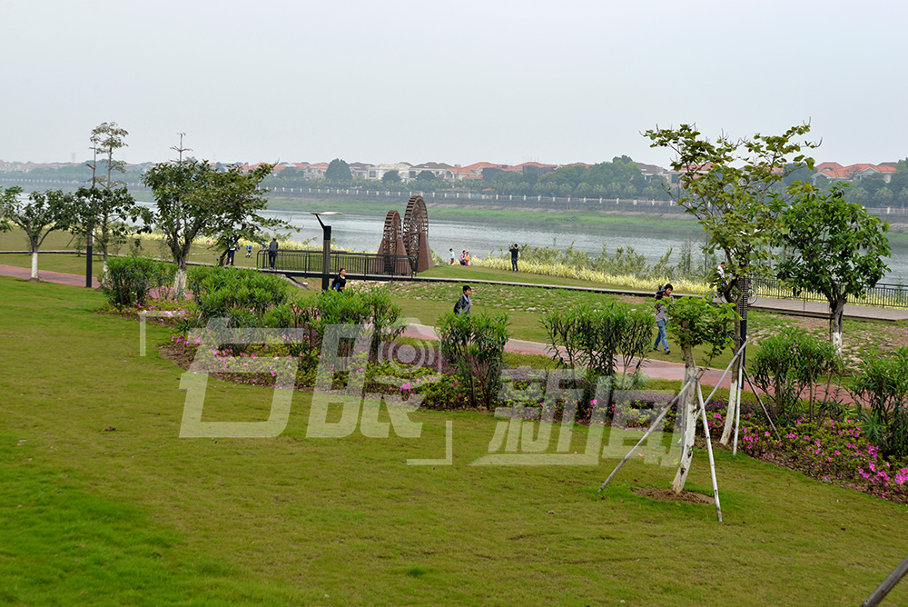 小家碧玉初长成的意思,小家碧玉初长成诗句