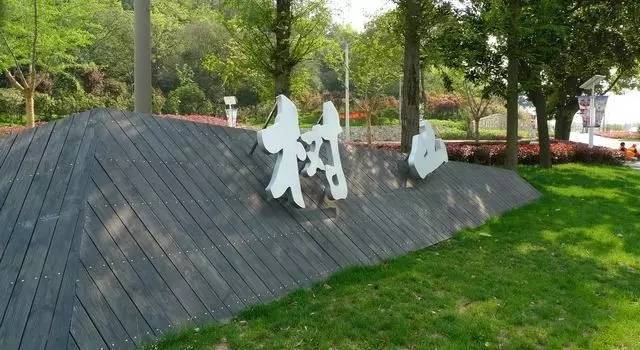 树山只差一个你丨梨花年年开,好玩的却不同