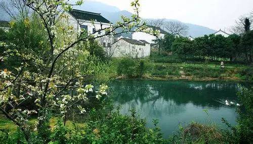 树山只差一个你丨梨花年年开,好玩的却不同