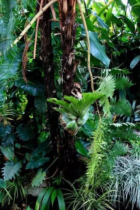 刘强东与奶茶妹妹的婚礼举办地大堡礁到底有多美？自己去看！