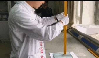 10元钢化膜竟能秒杀200元的？美女记者教你一招识别好坏！