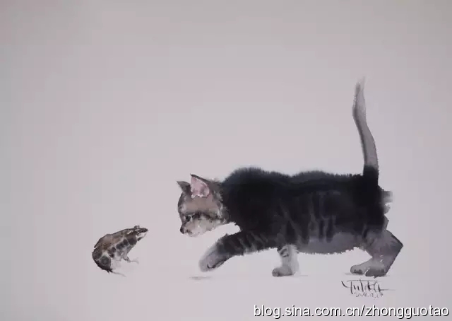 国画水墨写意猫,中国画水墨画猫