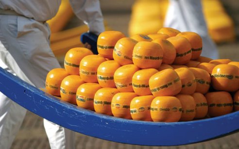 8个荷兰传统标志,第8个只有1%的领队才知道!