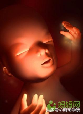 胎儿发育40周全过程b超影像,胎儿1-40周发育过程图高清