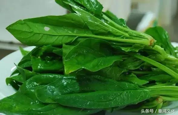 男人每日必吃食物,男人吃哪九种东西最厉害