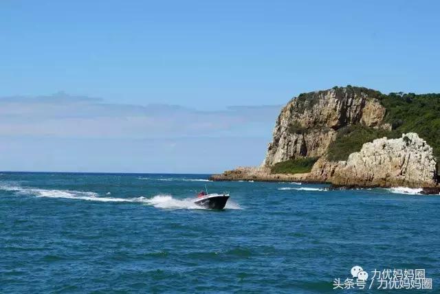 麻麻，为什么不能带我去非洲！