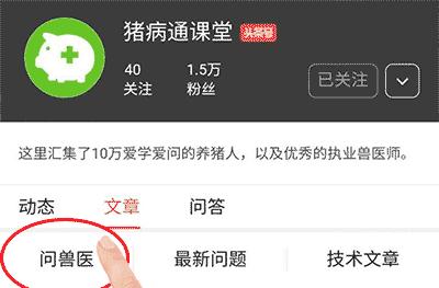 母猪啥时候产仔？老兽医掐指一算，就可以判断！