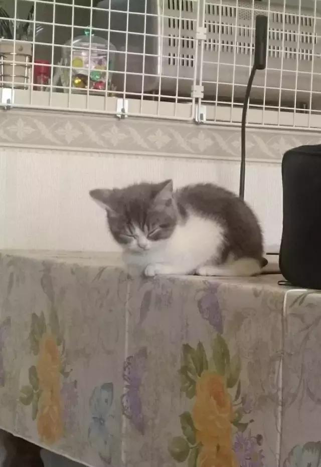 古天乐签名有灵感吗 (古天乐的签名才是经典)