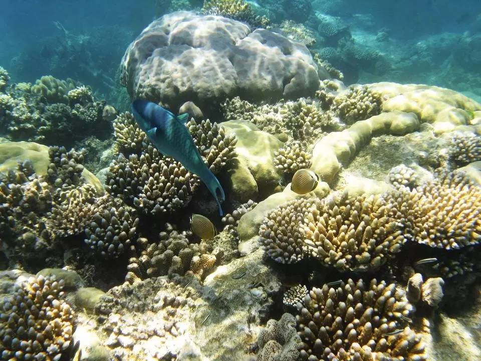 刘强东与奶茶妹妹的婚礼举办地大堡礁到底有多美？自己去看！