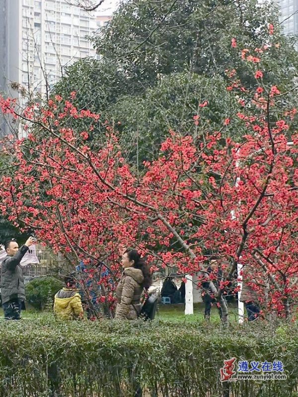 辉说酒,辉辉说剧二十二集
