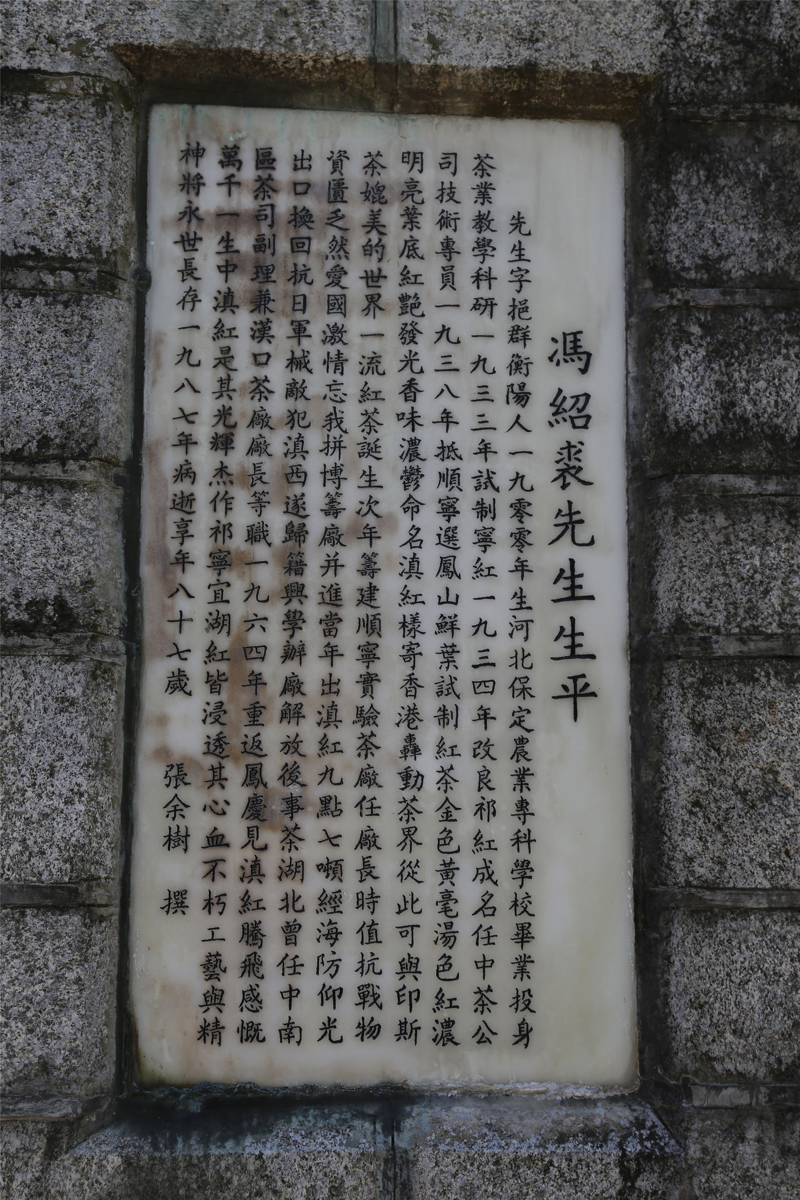 滇红记忆中国名茶,滇红创始人冯绍裘