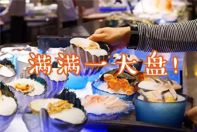 逆天啦,海鼎荟厦门生蚝