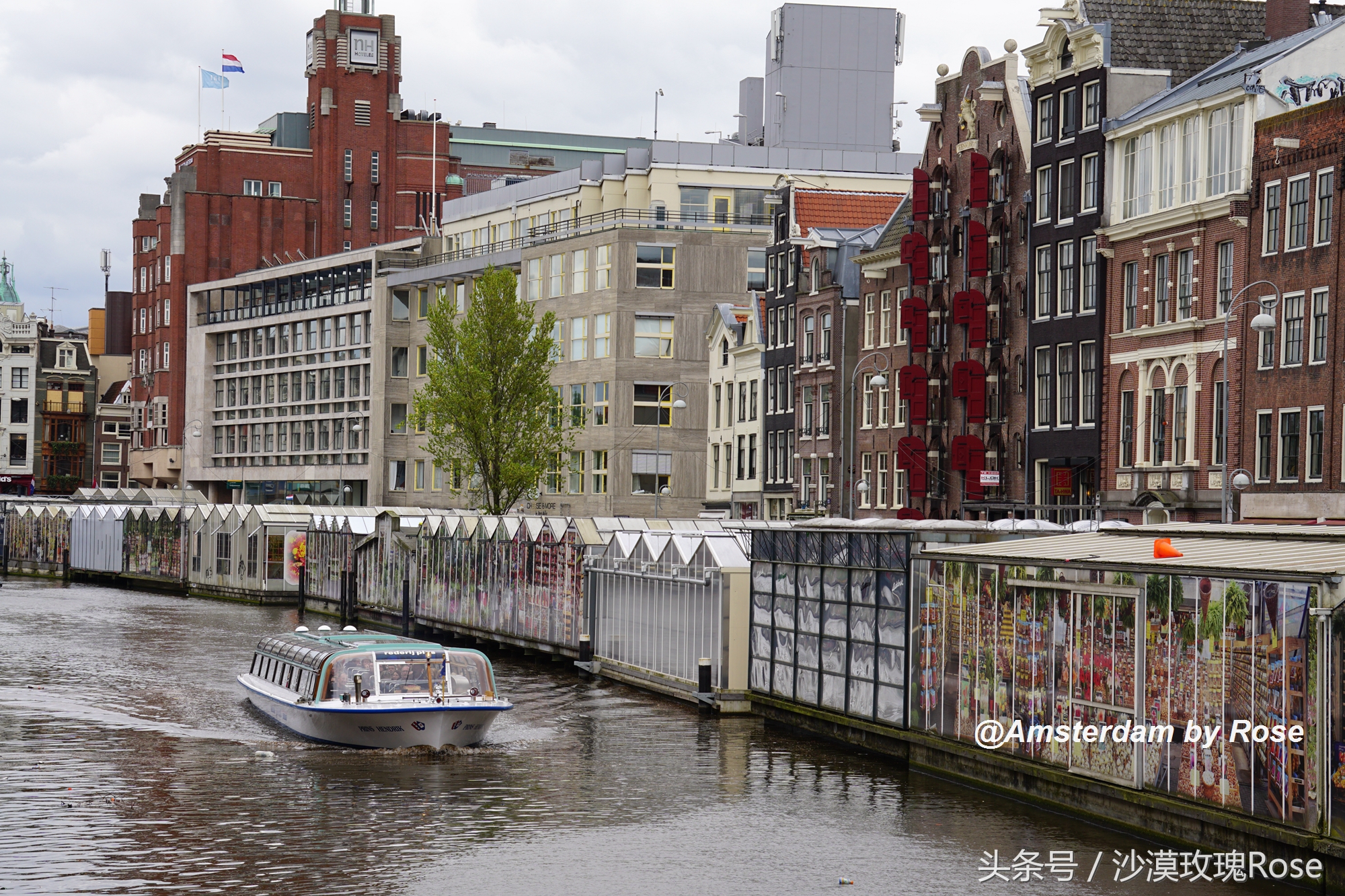 建在水上的鲜花市场，荷兰女王也骑车来买花