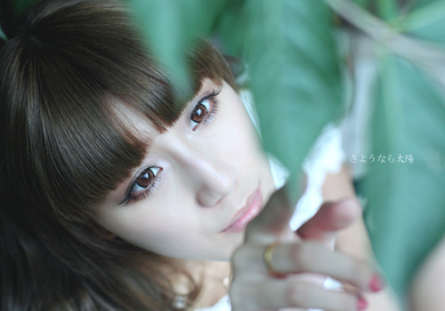 我的心脏是黑色的,我的心脏是蓝色的韩文歌