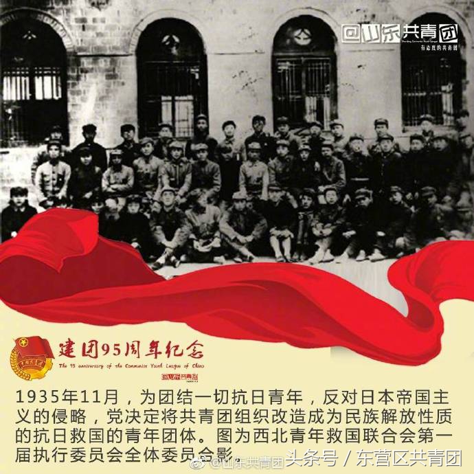 中国共青团100年历史,共青团的历史简介图片