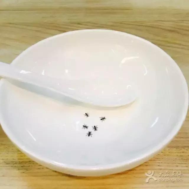 这家餐厅，竟然以拆散情侣为目的