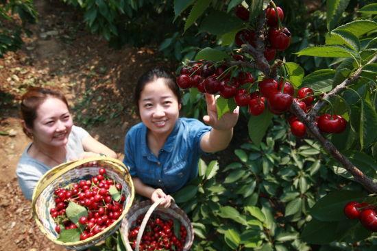 郑州五一适合聚餐的地方,五一郑州月季公园