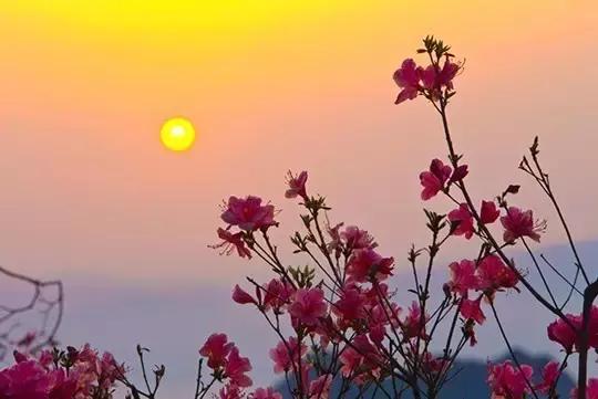 天津出发8小时能去哪旅游,天津出发卧铺一宿能到达的城市