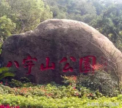 南京免费公园免费开放日一览表,南京最大的公园排名