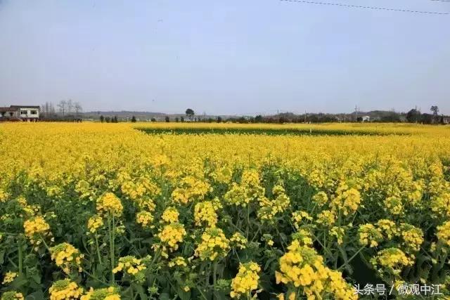 四川德阳最美景区,德阳中江最好的镇