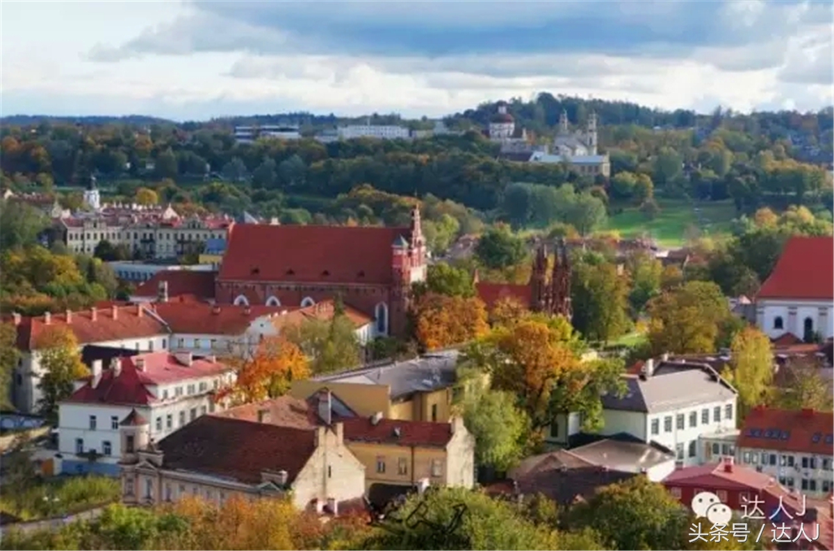 猜猜哪个国家连刺猬都有路牌？