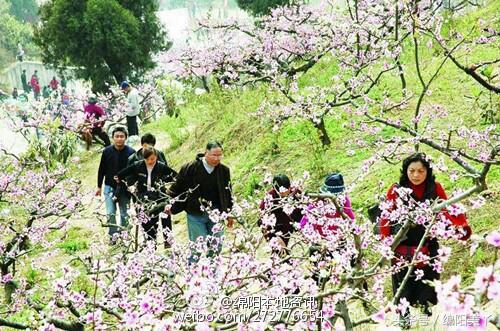 绵阳周边耍雪一日游,绵阳周边一日游最佳方案