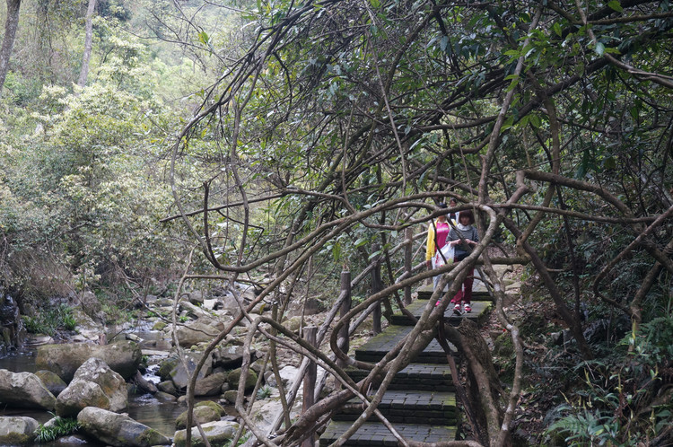 福建邵武旅游景点,南平温泉旅游景点大全