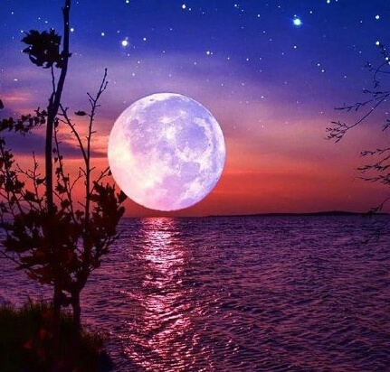 从三毛流浪记中感悟,三毛的经典一句话