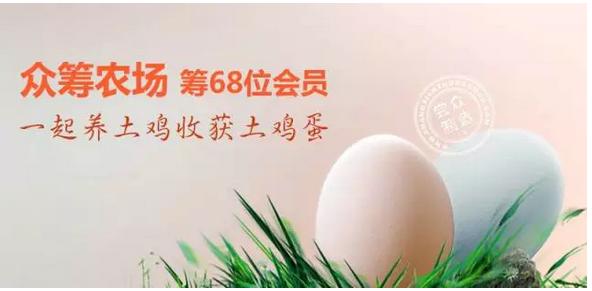 农业众筹新时代：网易全民养猪、苏宁卖大闸蟹、京东卖大米