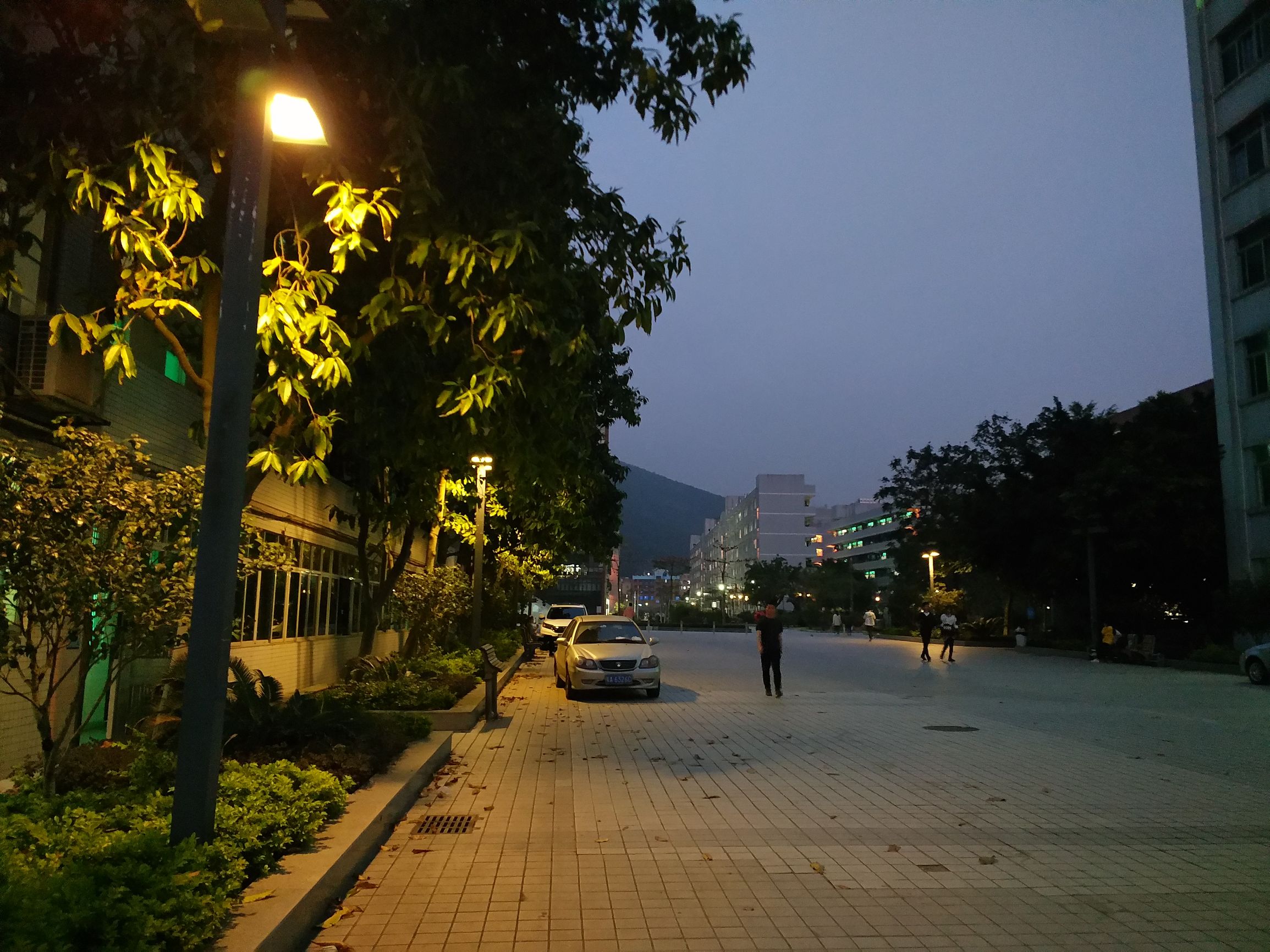 鎵嬫満xplay6娣卞害瑙ｆ瀽,xplay6璇勫垎