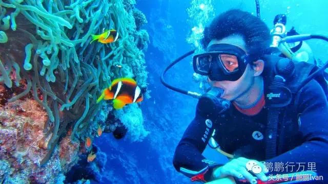 他不仅去过*藏西**,还去过阿富汗,他的梦想是和爱人一起环游世界!