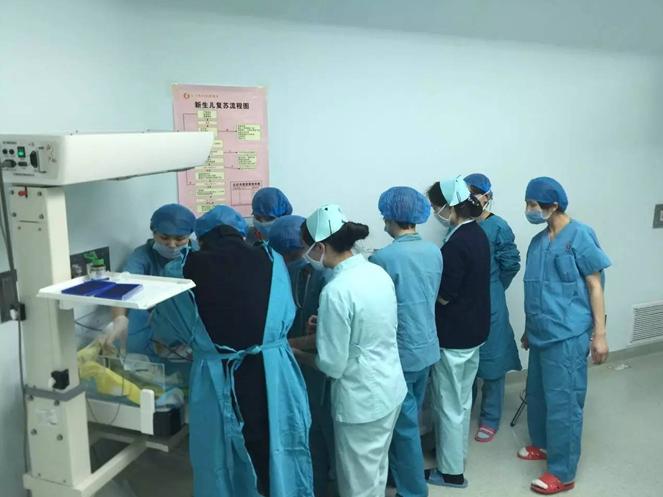 怀孕后最早多久可以有胎动,怀孕看到胎动是几个月