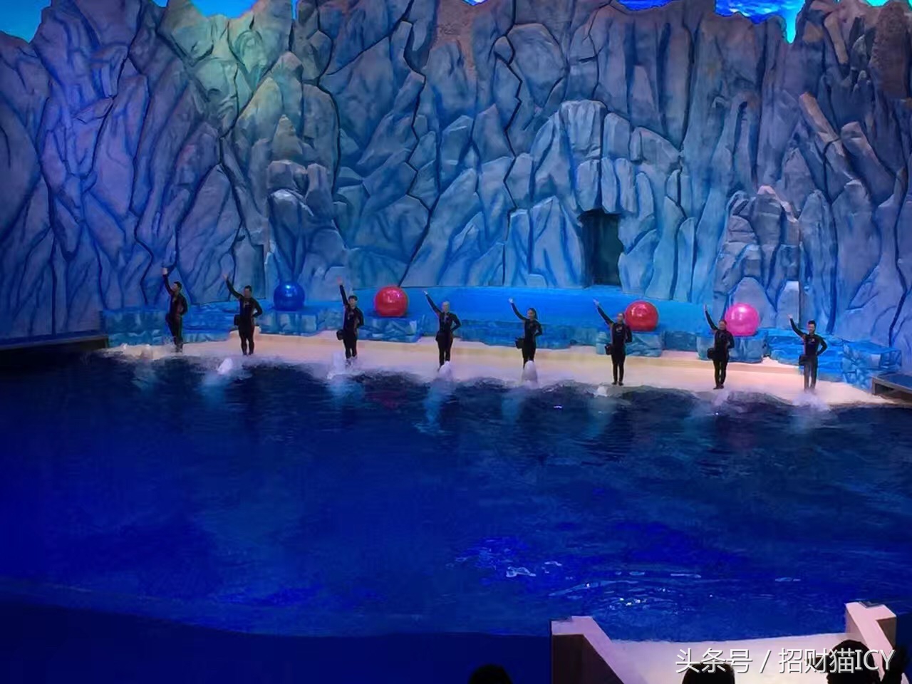 珠海长隆奇幻之旅,广州珠海长隆两天一夜攻略