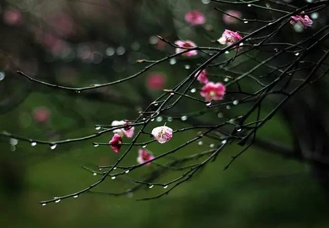 一到春天脚臭怎么办,脚臭脚痒是什么原因导致的