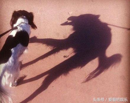 女生在理工大学就读是什么感受,女生读理工大学的感受