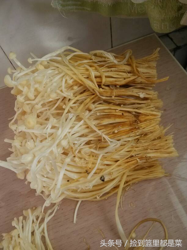 金针菇怎么解决菇湿,金针菇烂了怎么治疗