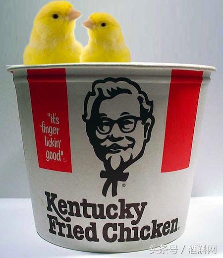 100种解酒偏方,全球最全解酒方法