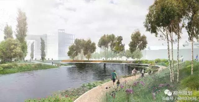 柳江区新规划项目,柳江体育公园什么时候开建